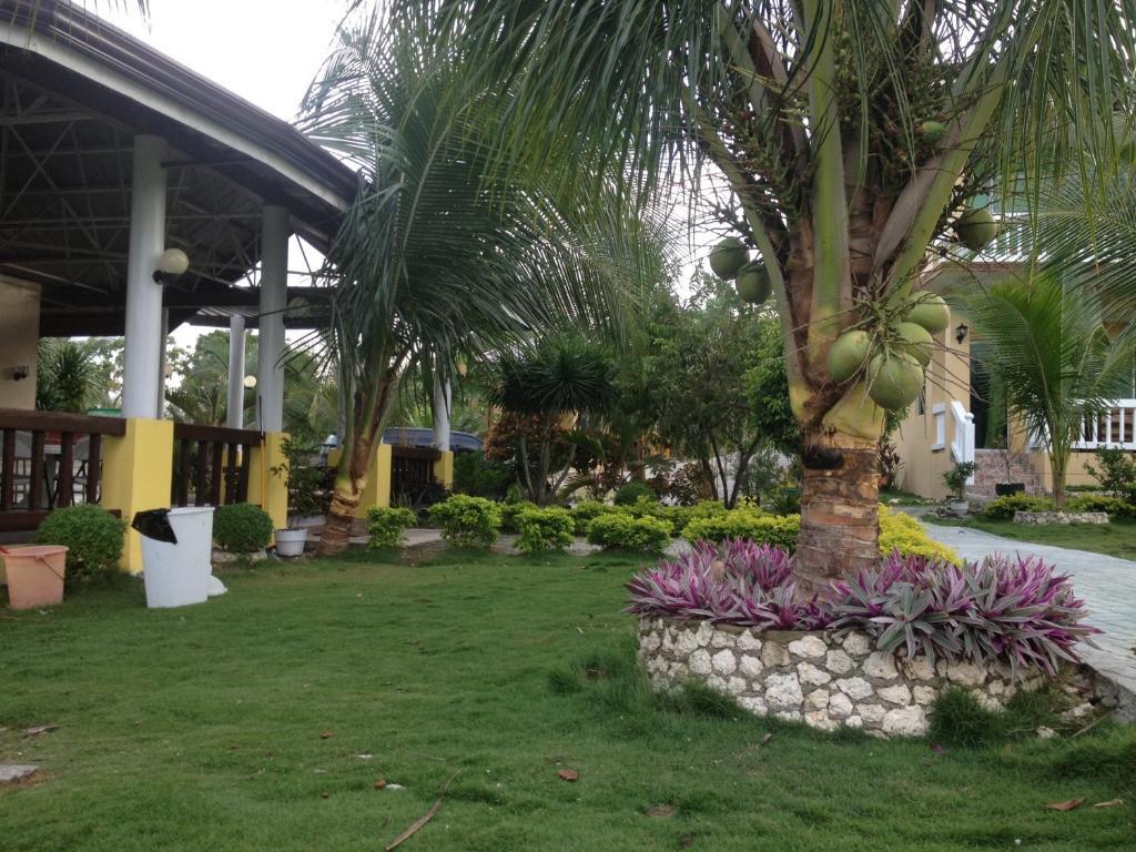Moalboal Beach Resort Alcantara  Eksteriør billede
